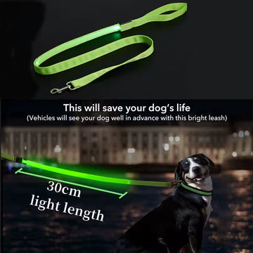 Tech dog collar glows in the dark