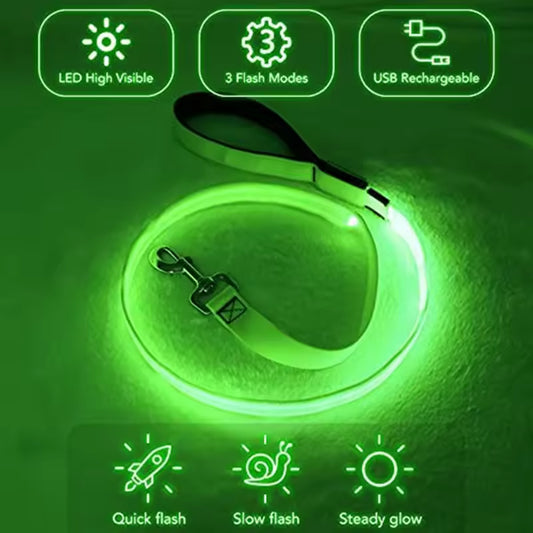 Tech dog collar glows in the dark